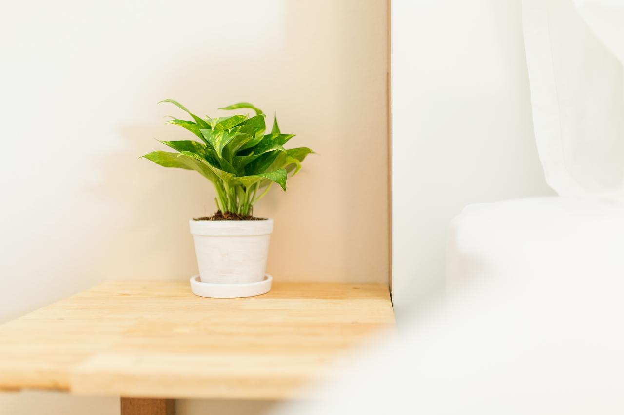 Habitat Hotel Čiang Mai Exteriér fotografie
